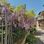 بيت للعطل Torrematta