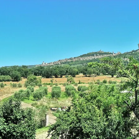 Torrematta * Assisi