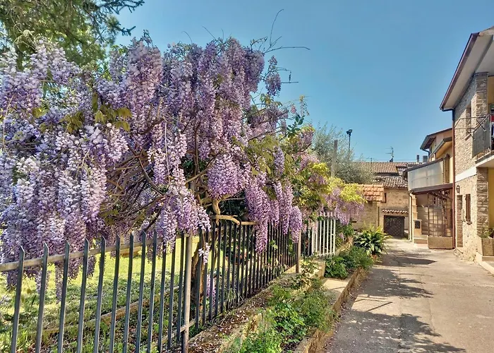 Сasa de vacaciones Torrematta Asís