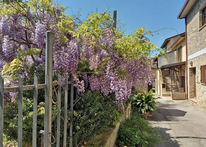 Сasa de vacaciones Torrematta